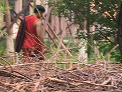 -回龙观体育文化公园