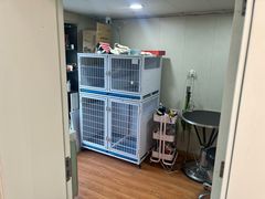 -中农大我爱我爱24h动物医院·中医针灸·猫专科·骨科医疗中心(双井店)