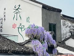 -鑫震源·苏式大虾生煎(山塘街店)