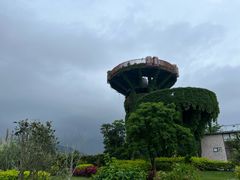 -芒洲湿地公园
