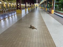 -ခြောက်ထပ်ကြီးရွှေသာလျောင်းဘုရားကြီး