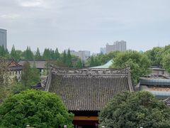 -鸡鸣赐茶(鸡鸣寺路店)