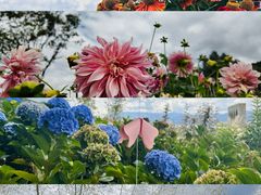 -昆明春城湖畔度假村