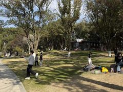 -昆山城市公园