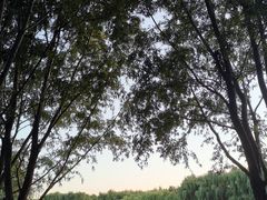-东郊湿地公园