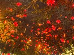 -芭夯兔·无骨兔汤锅(远达港湾店)