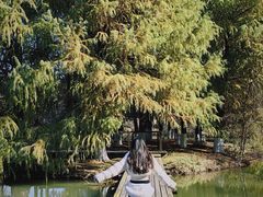 -苏州太湖国家湿地公园