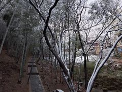 -穹窿山景区
