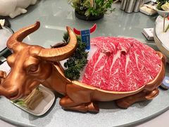 -德天肥牛海鲜火锅(城西银泰店)