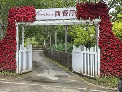 -中家鑫园温泉酒店鑫悦汤泉