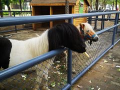 -长白岛森林公园