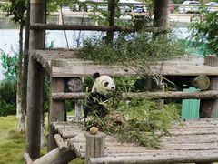 -西霞口神雕山野生动物世界