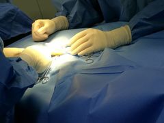 -菲尔斯特宠物医院