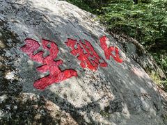 -王顺山国家森林公园