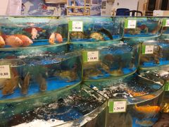 -AEON永旺(东方宝泰店)