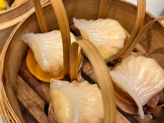 -金鼎轩(方庄天坛店)