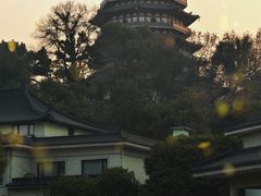 -浙江西子宾馆·瑶园咖啡厅