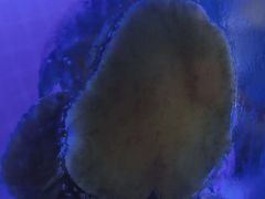 -鼓歌海鲜舫·手抓海鲜(大学城店)