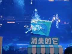 -成都浩海立方海洋公园