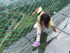 -梦幻奥陶纪景区