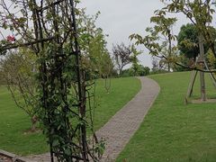 -广富林郊野公园