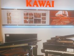 -柏斯琴行(汾阳店)