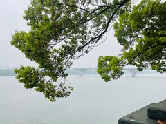 -黄兴南路步行商业街