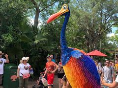 -奥兰多迪士尼动物王国乐园