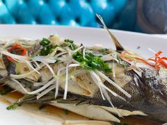 -帕米尔食府(白云观店)