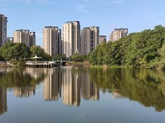-新江湾城公园
