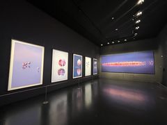 -罗红摄影艺术馆