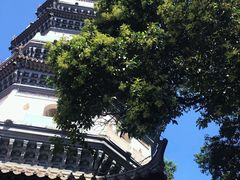 景点-迎江寺