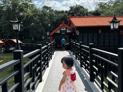 -侨美·唐荔园·40年地道粤菜