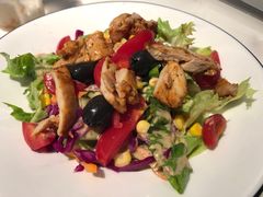 鸡肉沙拉-伊斯坦布尔土耳其清真咖啡餐厅