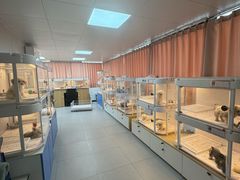 -翊宠yipet猫狗购宠庄园犬舍•猫舍