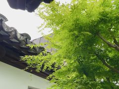 -嘉定博物馆