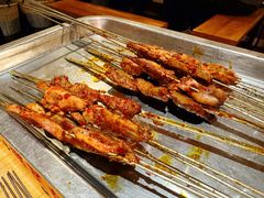 -福苗小骆驼烧烤(莲湖路店)