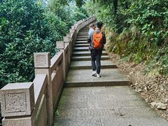 -杭州半山国家森林公园