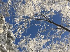 -雪谷