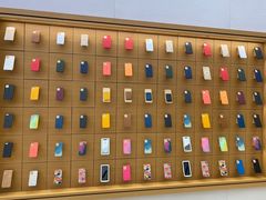 -Apple零售店(苏州店)