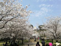 -苏州上方山国家森林公园