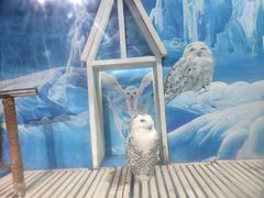 -成都浩海立方海洋公园