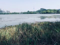 -月湖风景区
