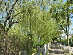 -上海海湾国家森林公园