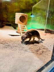 -酷嗒动物文化乐园(cutezoo西溪乐天城店)