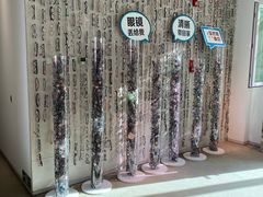 -阿玛施眼科