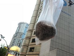-上海虹口糕团(福州路店)
