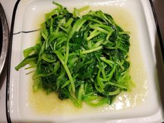 清炒鸡毛菜-19号私房菜(云南路店)