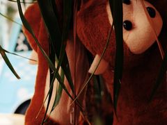 -波比Pizza(新城店)