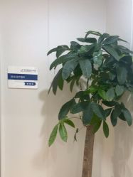 -郑荃丽格医疗美容